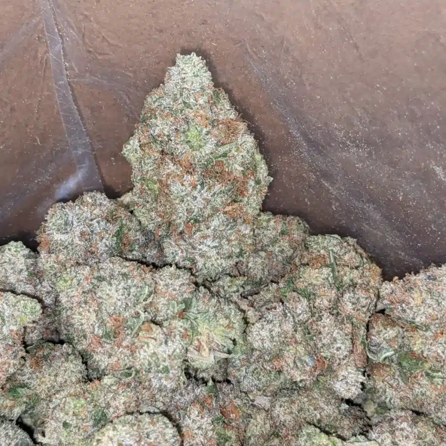 Death Bubba x master kush 3 I Death Bubba x Master Kush