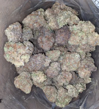 FRUIT LOOPS 1 I Legacy