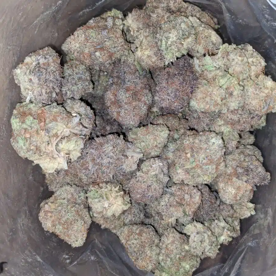 Fruit Loops