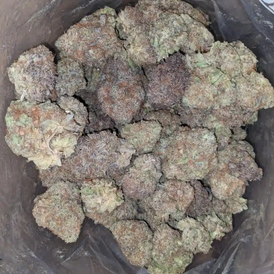 Alternative view of Fruit Loops