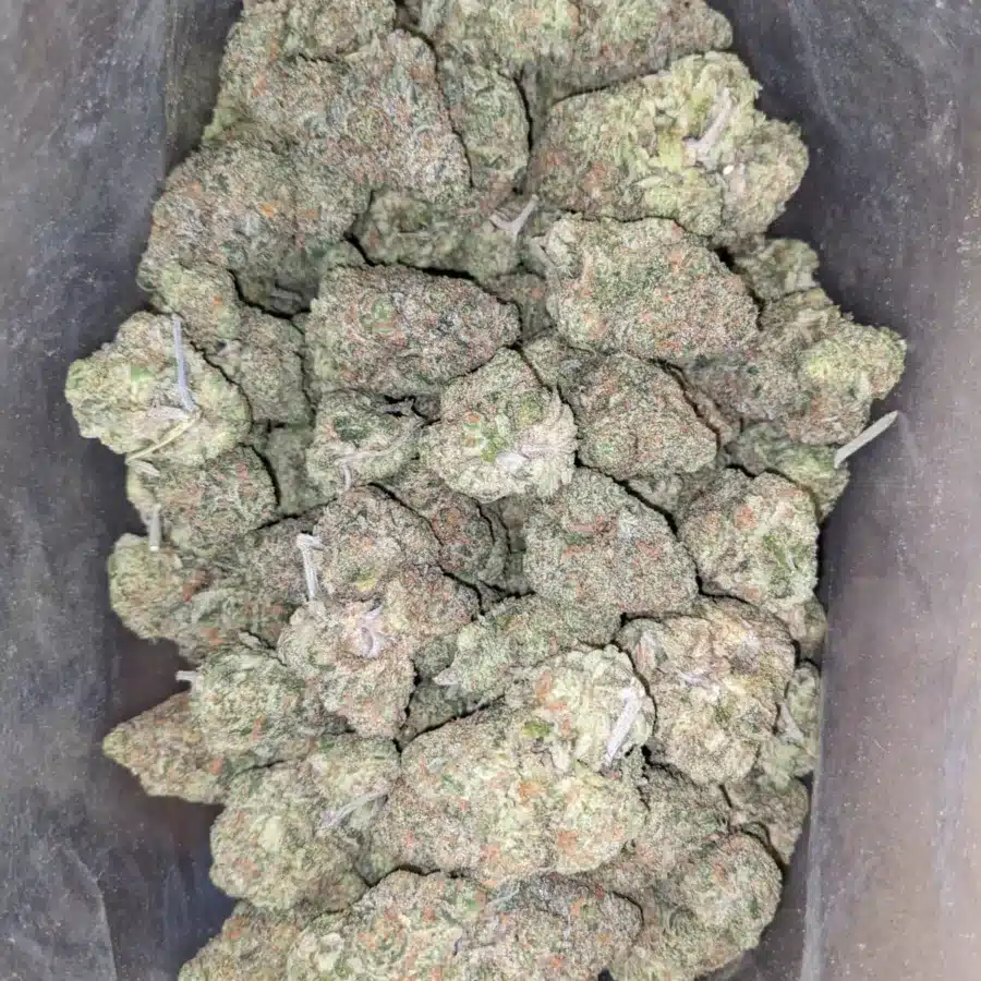 Fruit Punch