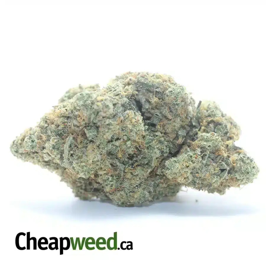 $ 82 Oz - Hawaiian Mayan Gold