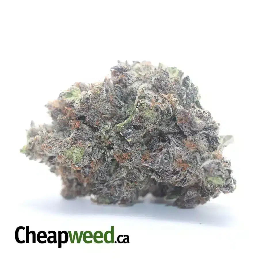 Hindu Kush #2