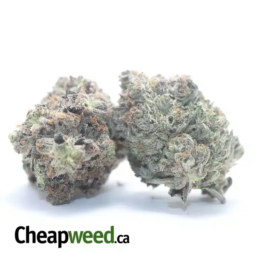 Alternative view of Hindu Kush #2