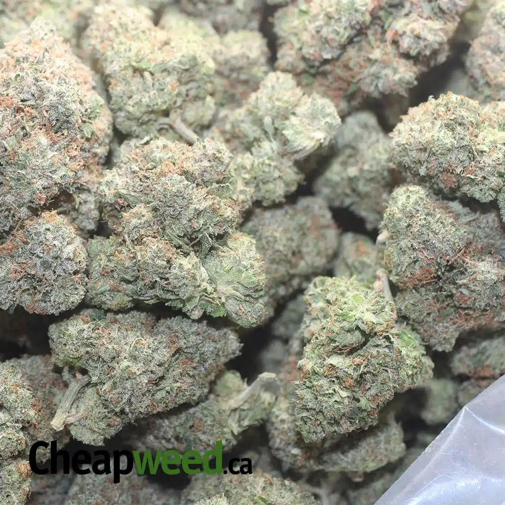 $ 65 Oz - Hindu Kush - Image 3