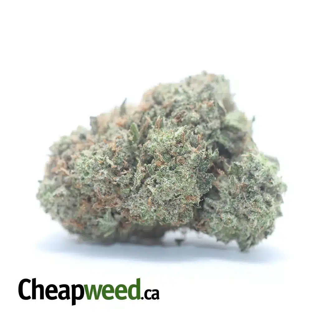 $ 65 Oz - Hindu Kush