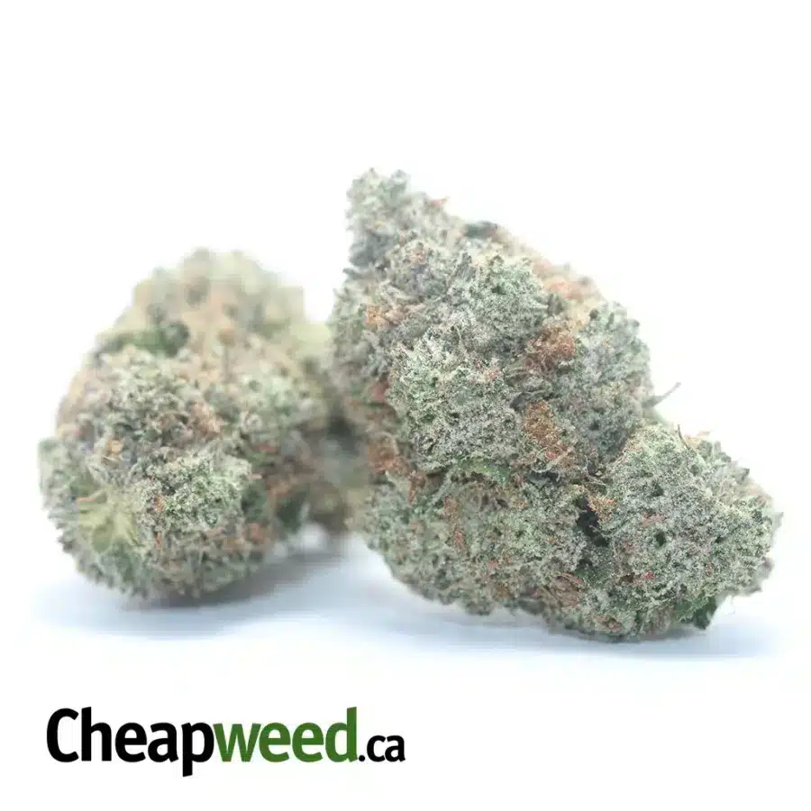 HINDU KUSH 6 I $ 65 Oz - Hindu Kush