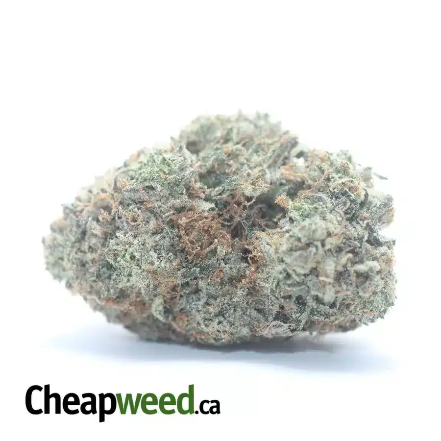 Hippie Crippler