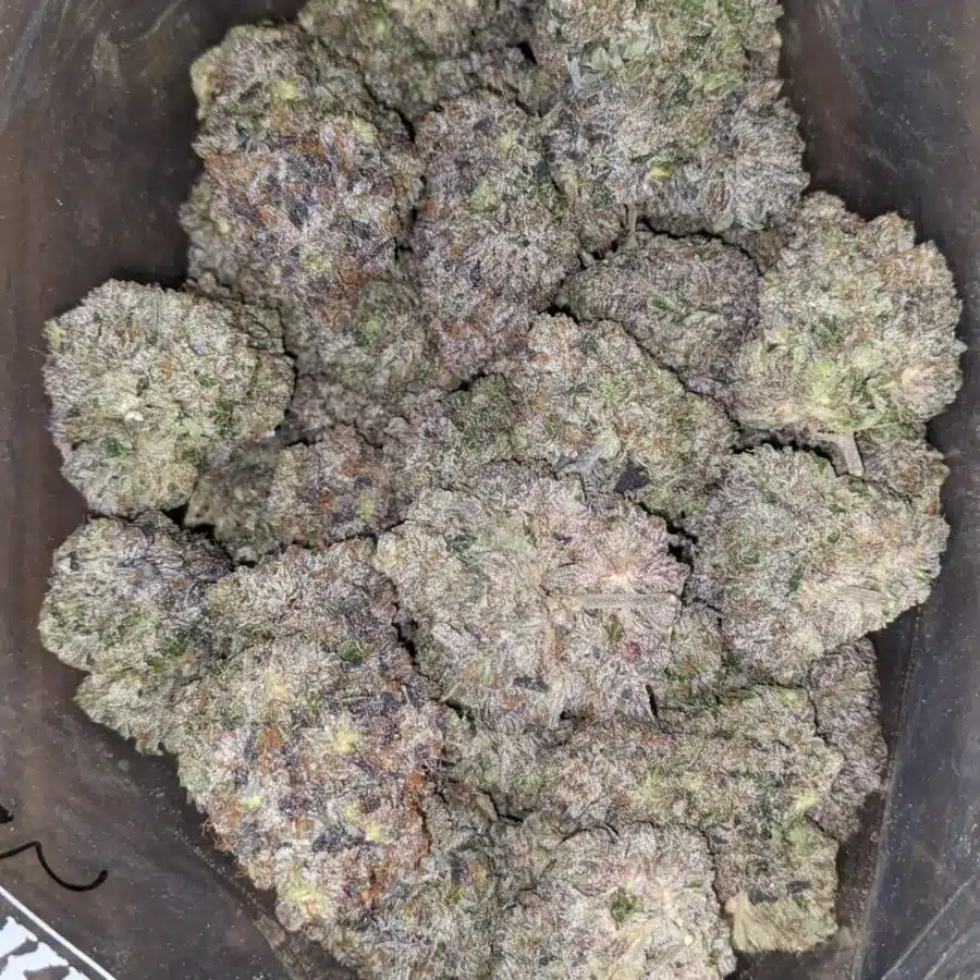 Hindu Kush AAAA 2 I Hindu Kush AAAA