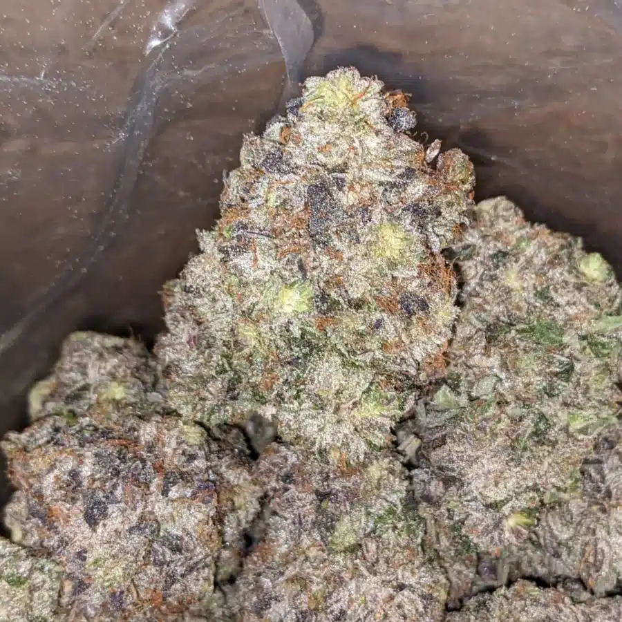Hindu Kush AAAA 4 I Hindu Kush AAAA