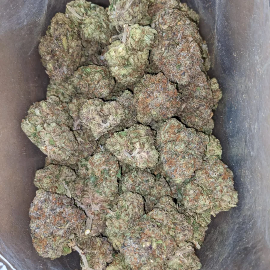 Hippie Crippler - Image 5