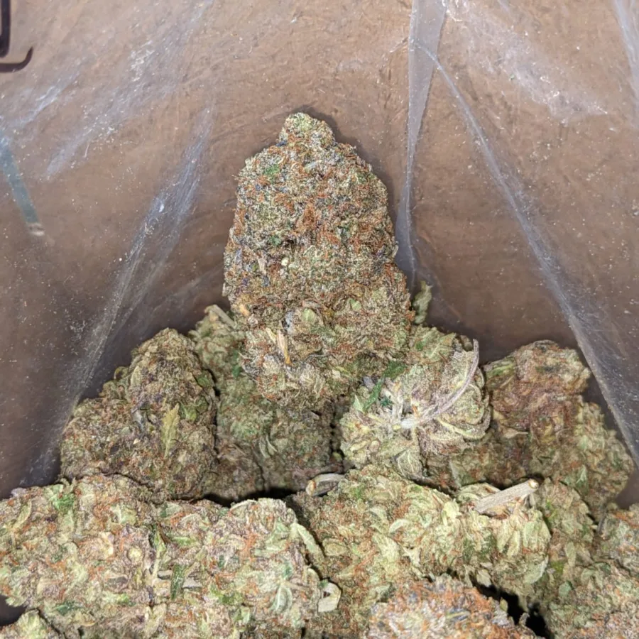 Hippie Crippler - Image 4