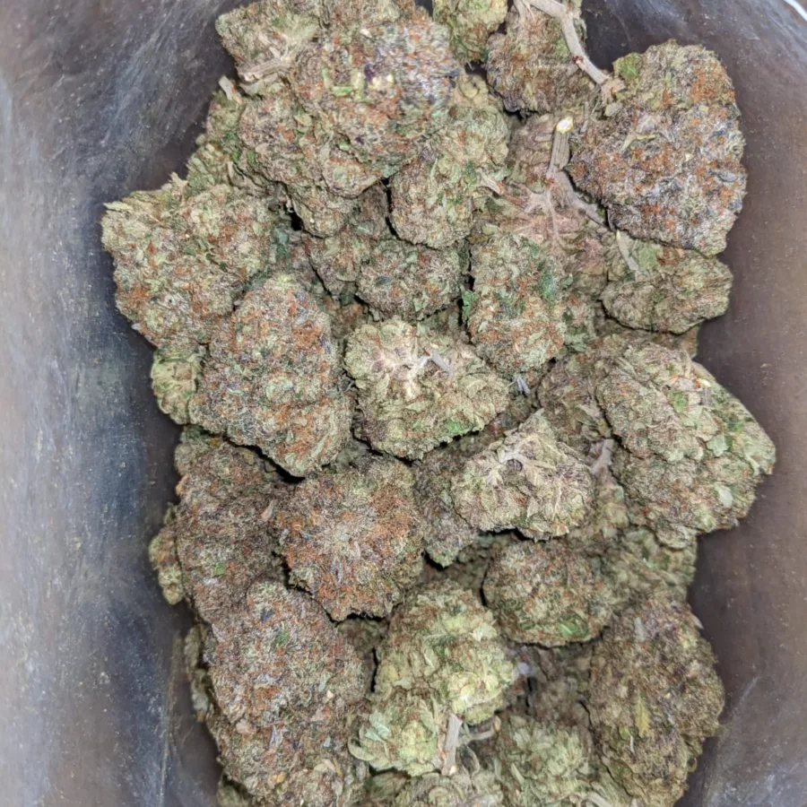 Hippie Crippler - Image 7