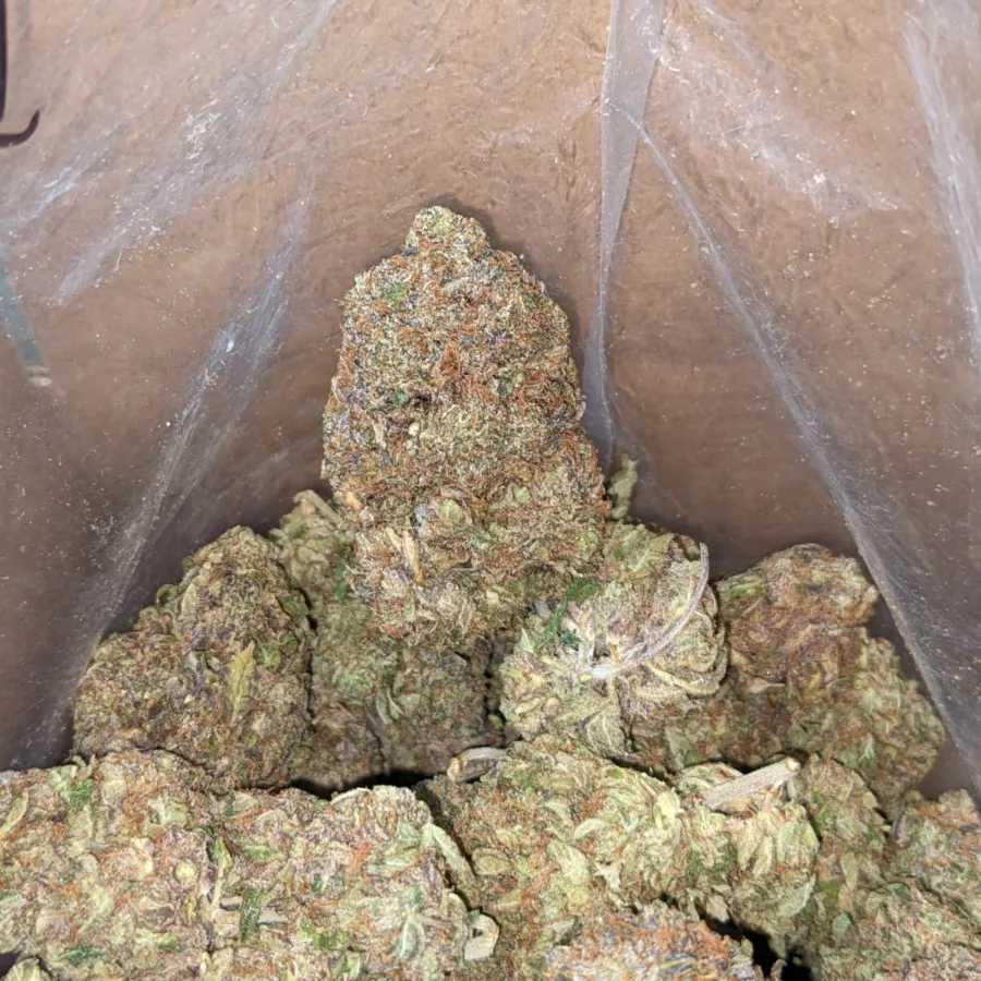 Hippie Crippler - Image 6