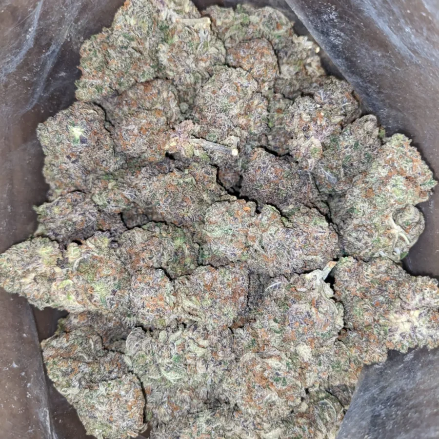 Jetfuel Gelato - Image 4