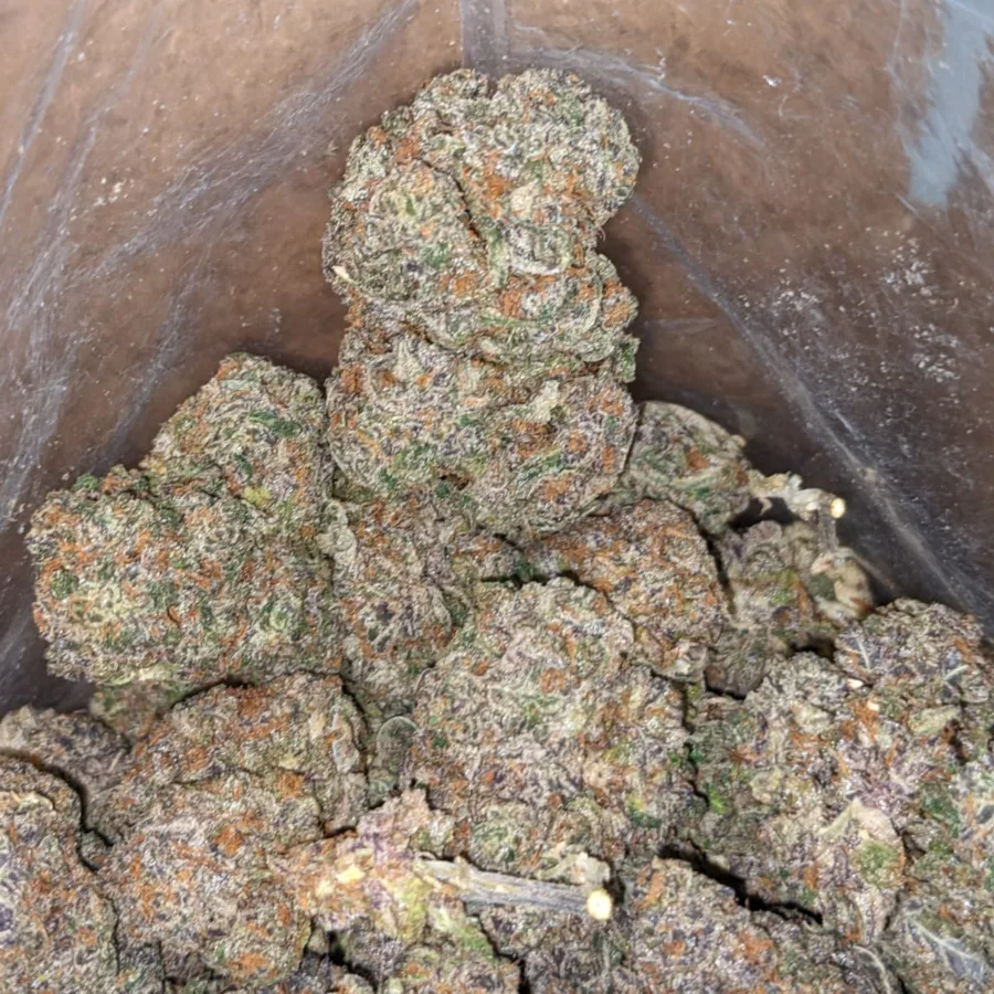 Jetfuel Gelato - Image 7