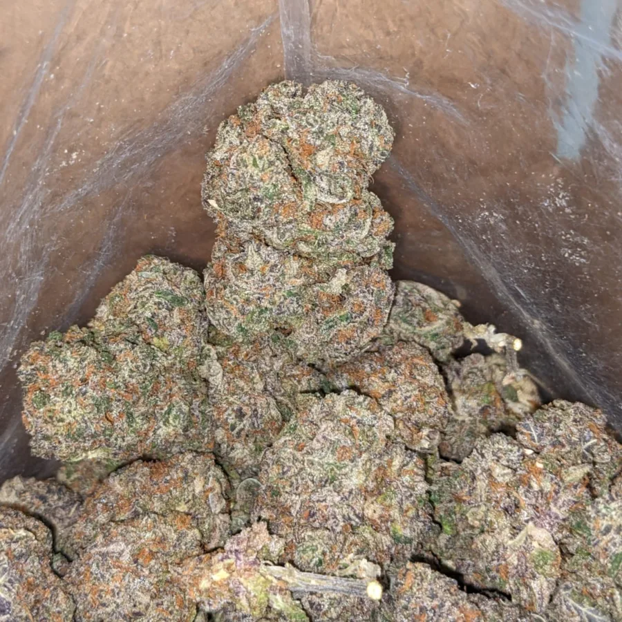 Jetfuel Gelato - Image 6
