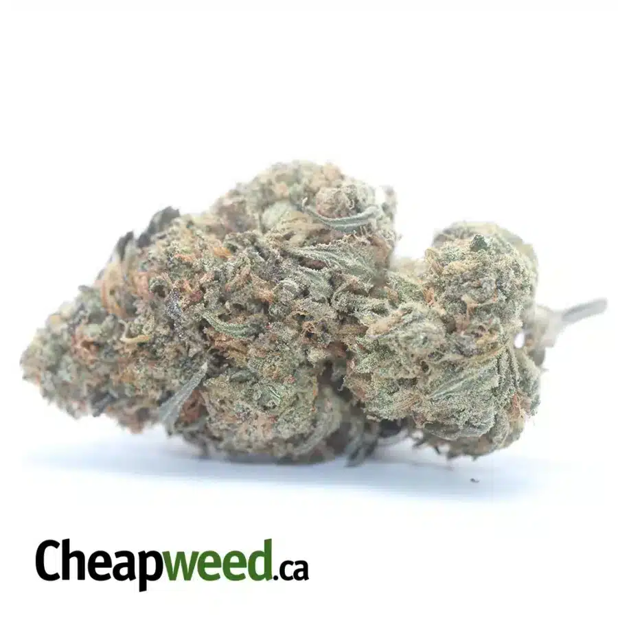 Lemon Gelato