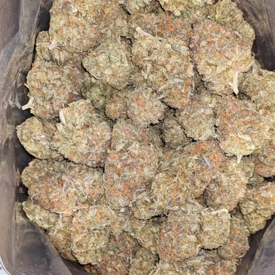 Lemon Gelato 2 I Lemon Gelato