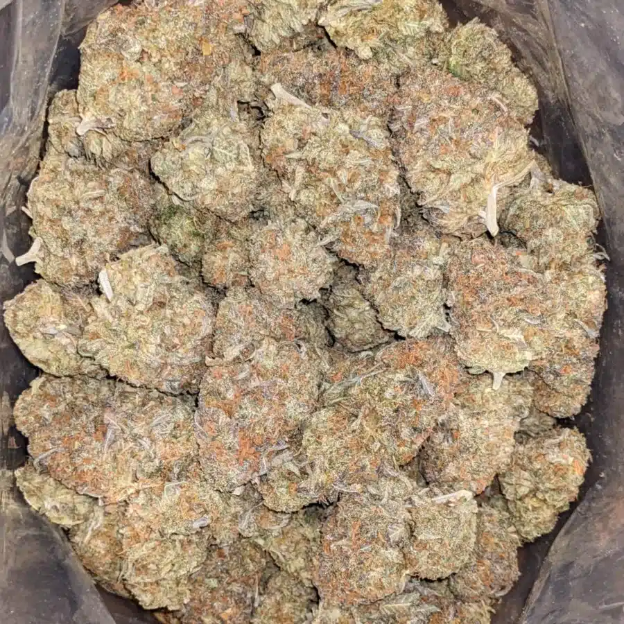 Lemon Gelato 3 I Lemon Gelato