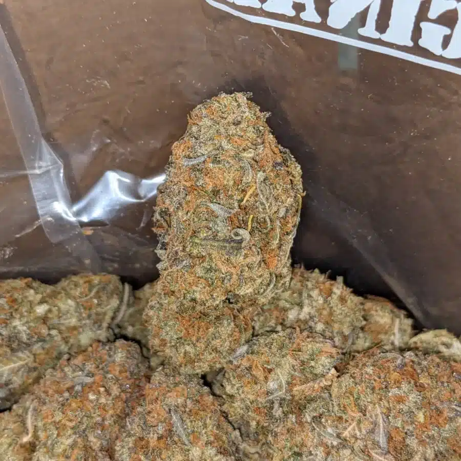 Lemon Gelato 4 I Lemon Gelato