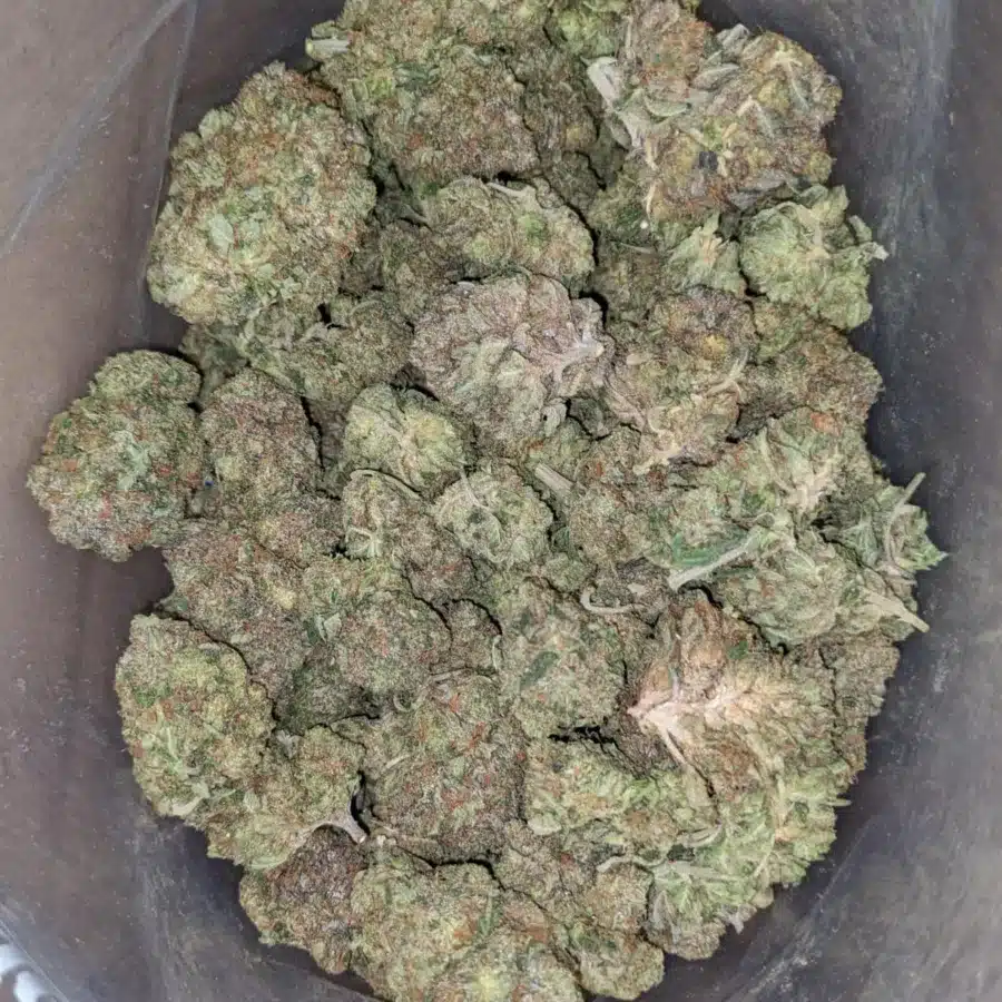 Lindsay OG