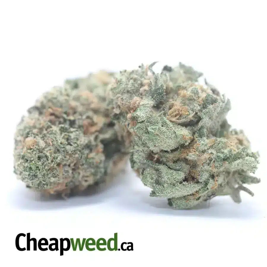 Alternative view of MAC10 x GMO Cookies