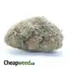 Mango Sherbert