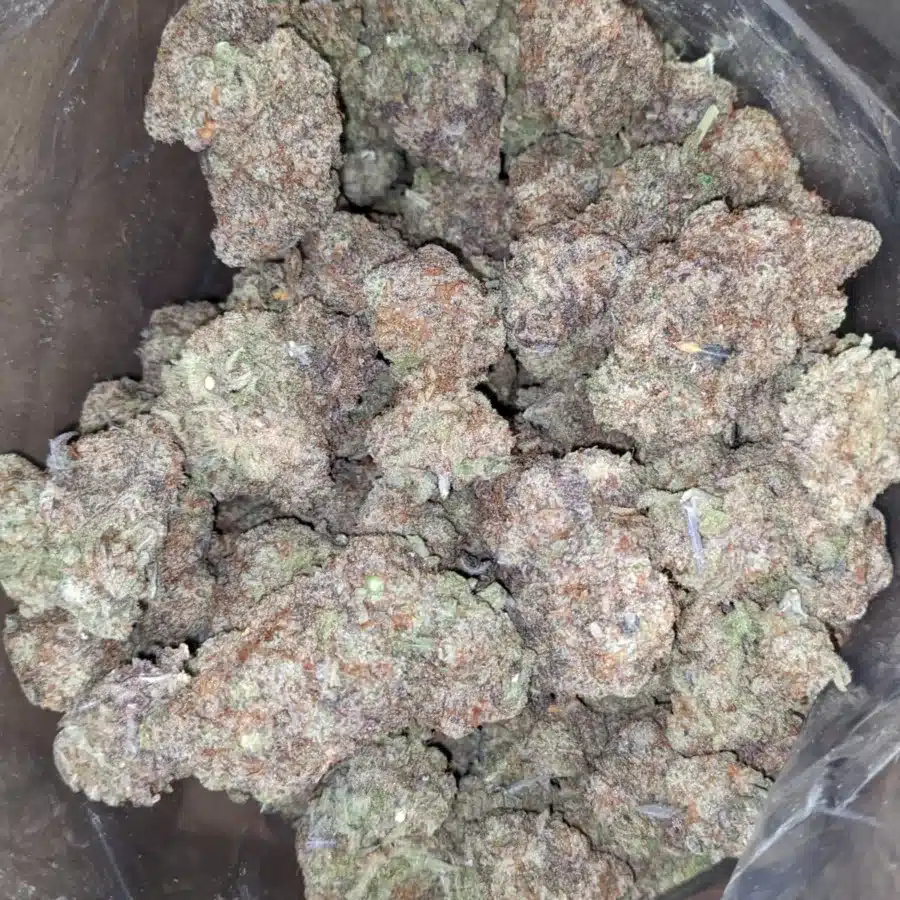 Mac 10 x Gmo Cookies 2 1 I MAC10 x GMO Cookies