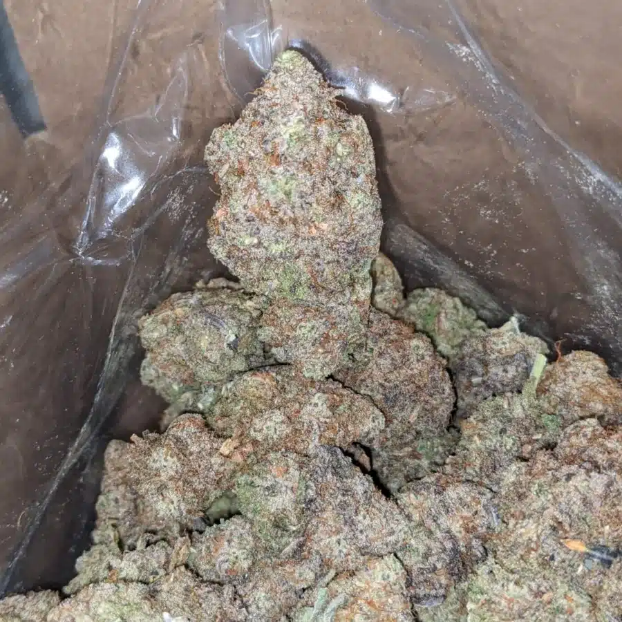 Mac 10 x Gmo Cookies 3 1 I MAC10 x GMO Cookies