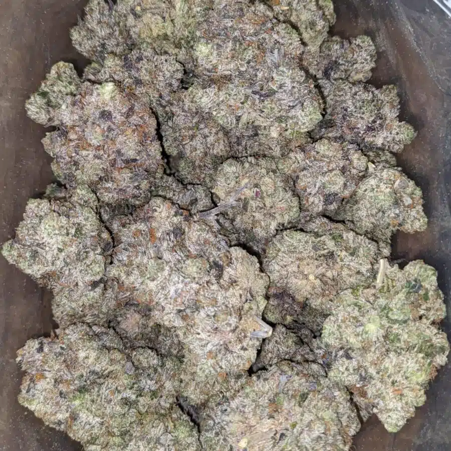 Mk Ultra 1 I MK Ultra