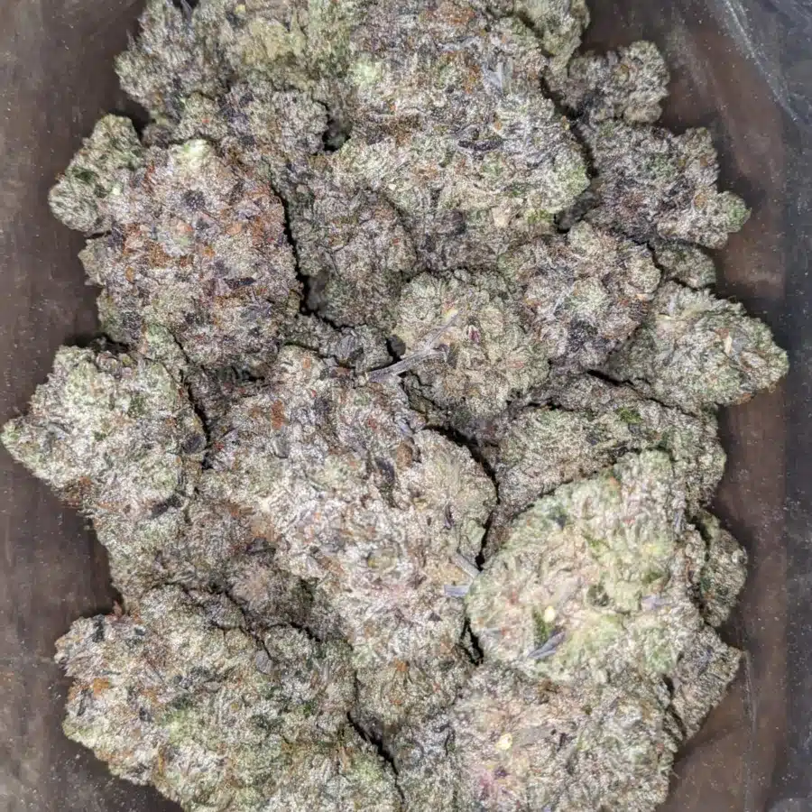 Mk Ultra 2 I MK Ultra
