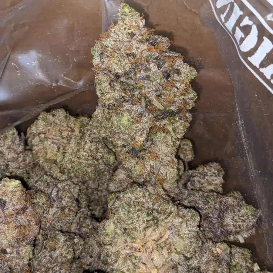 Mk Ultra 3 I MK Ultra