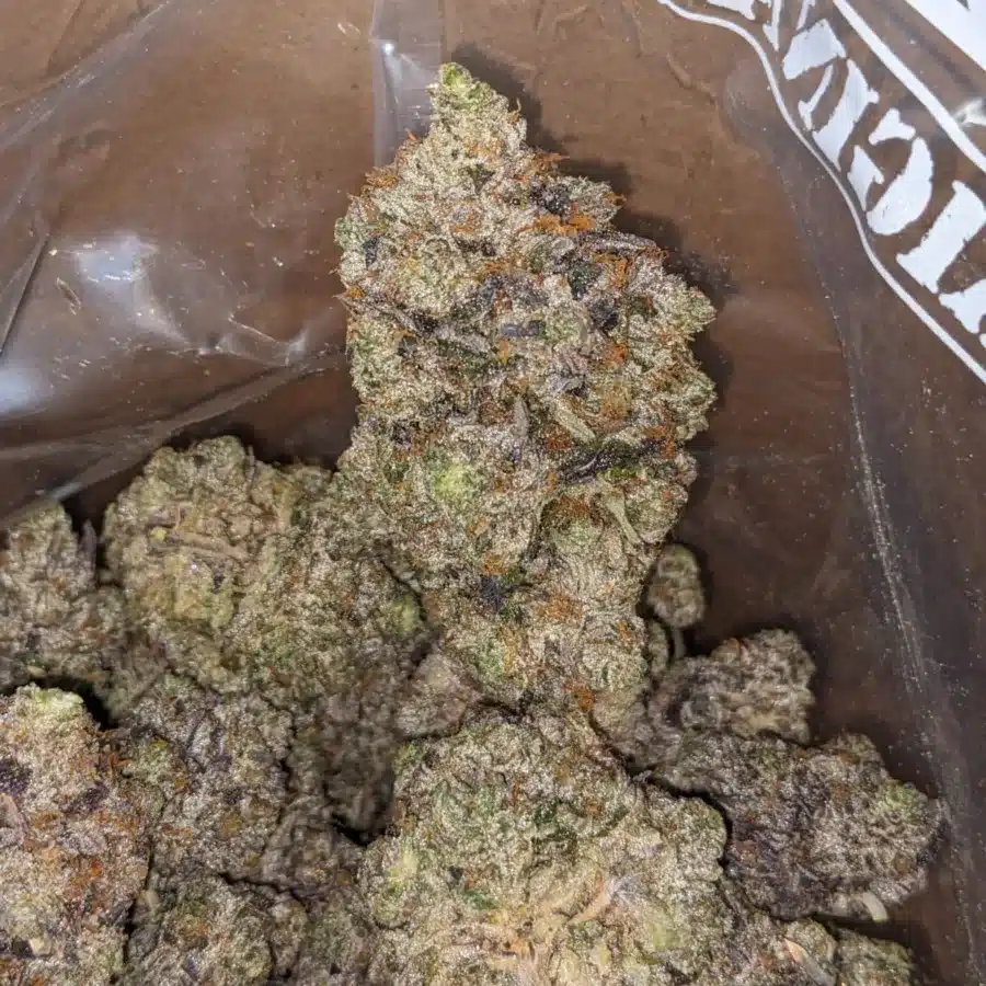 Mk Ultra 4 I MK Ultra