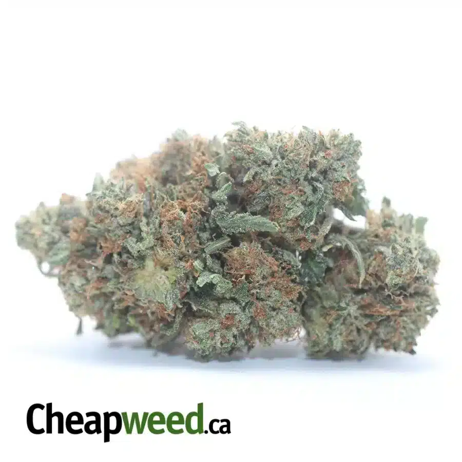 OG Pink