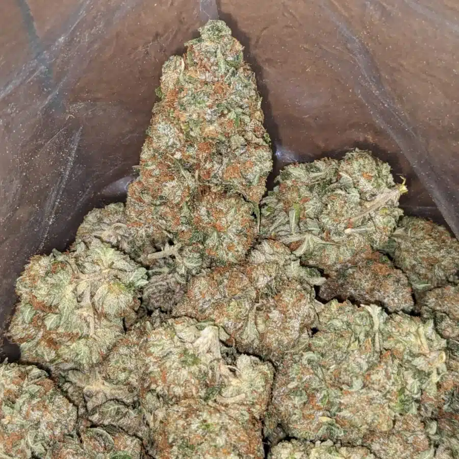Og pink 3 I OG Pink