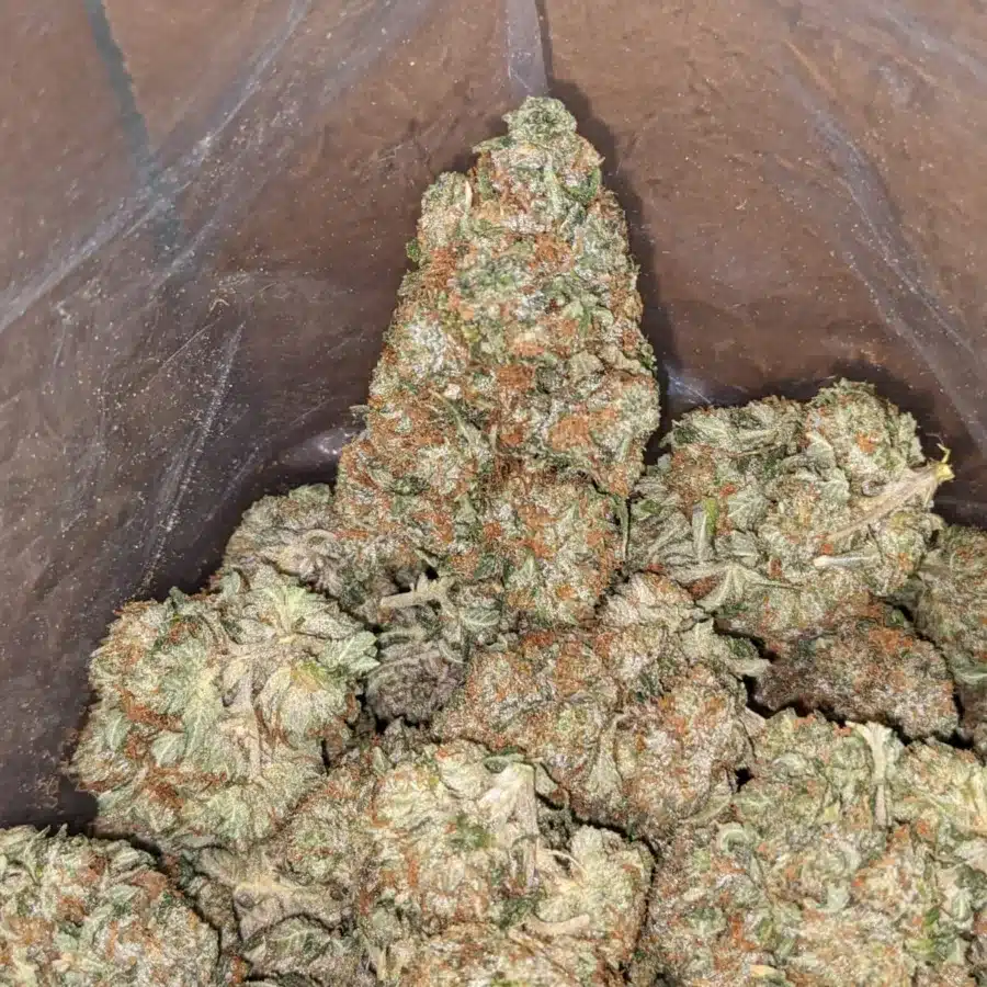 Og pink 4 I OG Pink