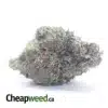 Purple Bud