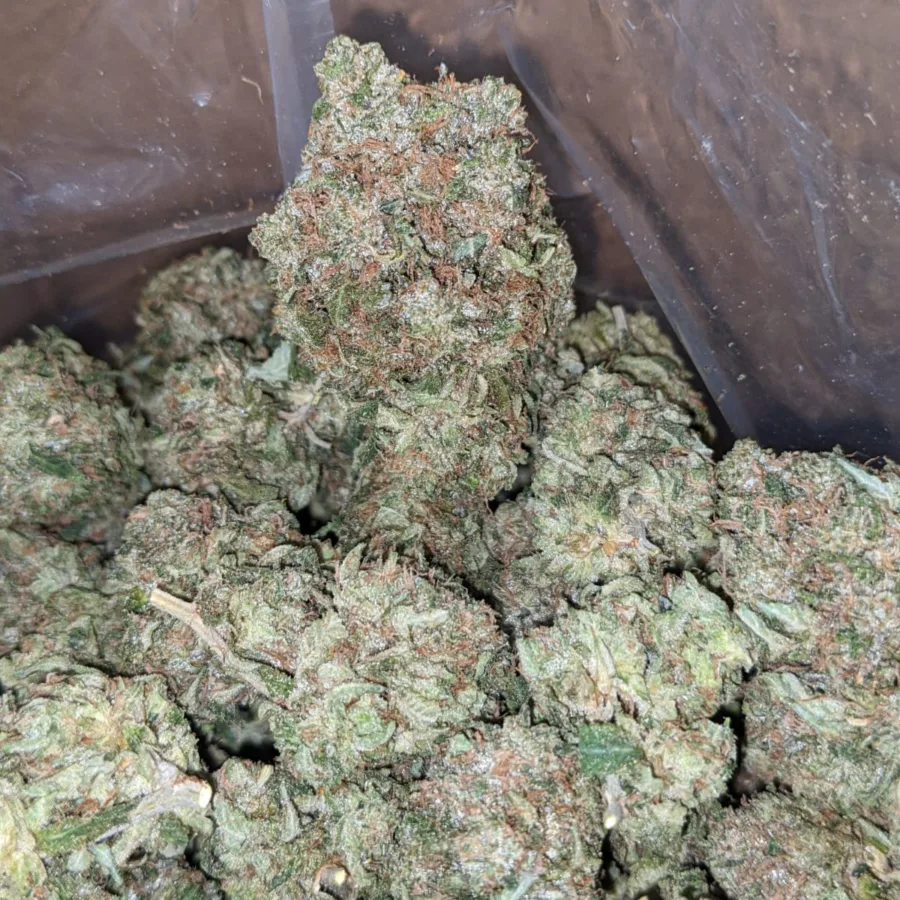 Presidential OG - Image 5