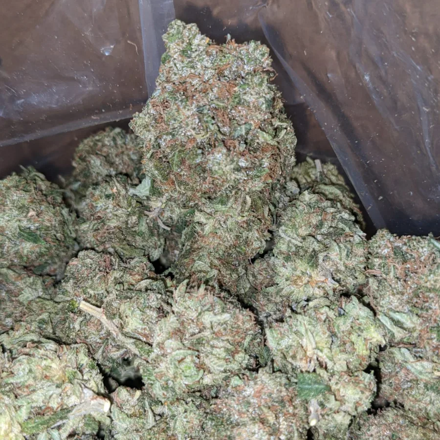 Presidential OG - Image 4