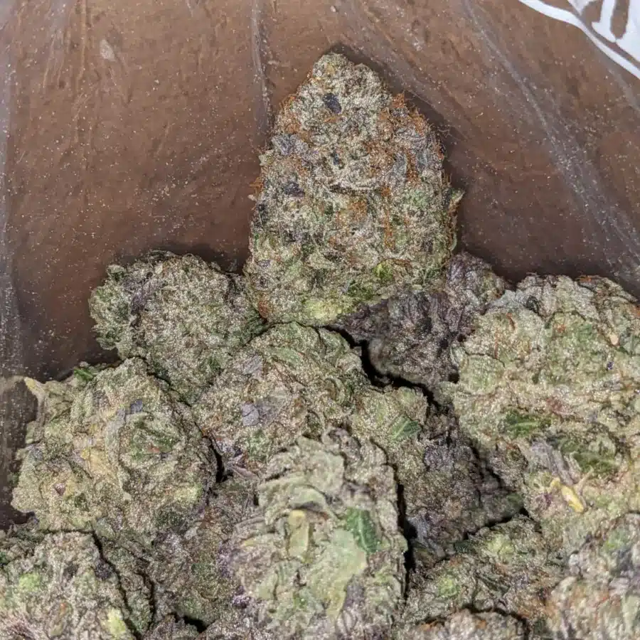 Purple Bud 2 I Purple Bud
