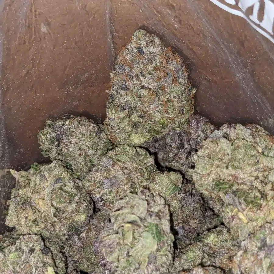 Purple Bud 3 I Purple Bud