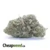 $ 66 Oz - Rockbud