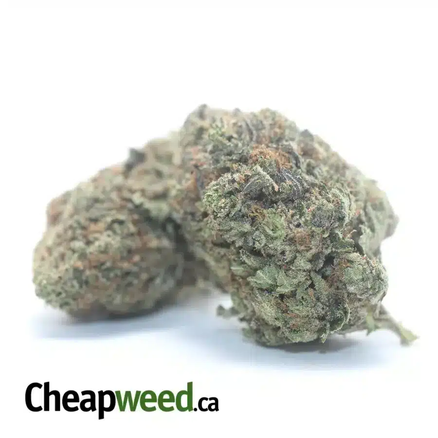 Alternative view of $ 66 Oz - Rockbud