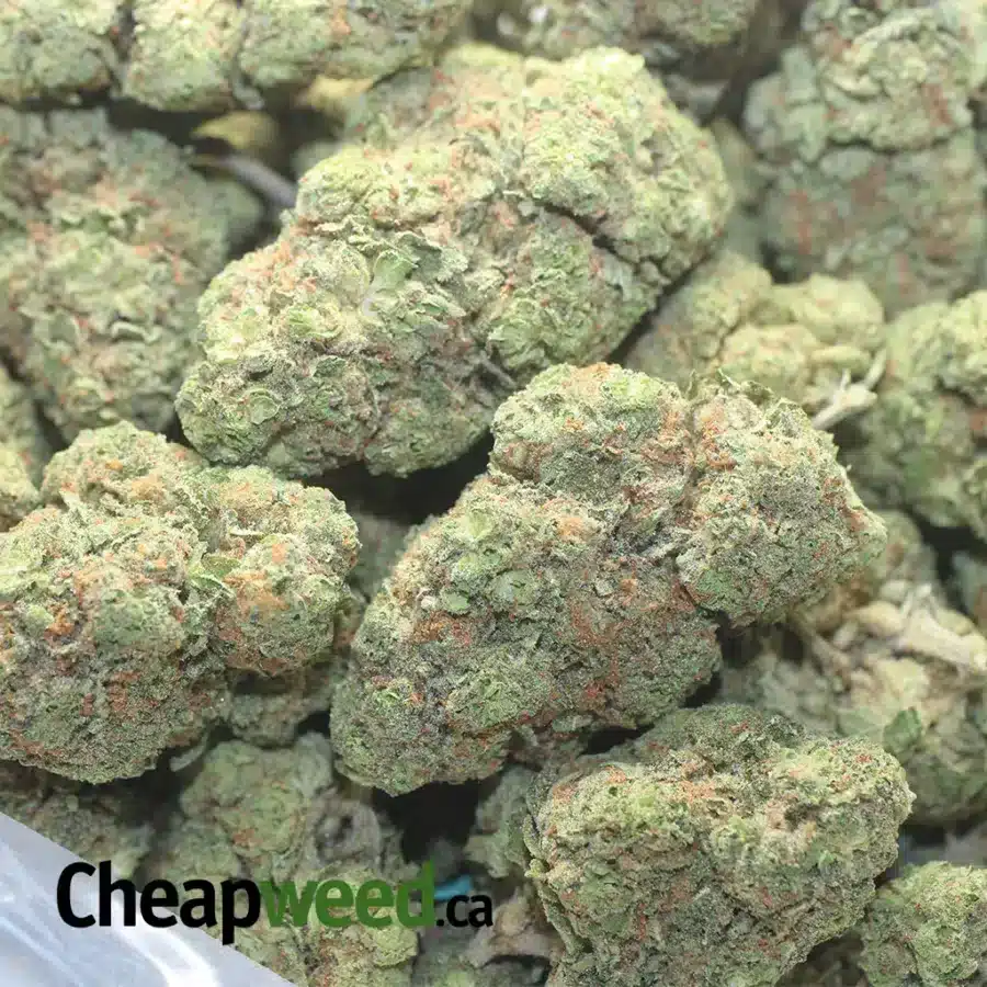 ROCKET FUEL 1 I $ 55 Oz - Rocket Fuel