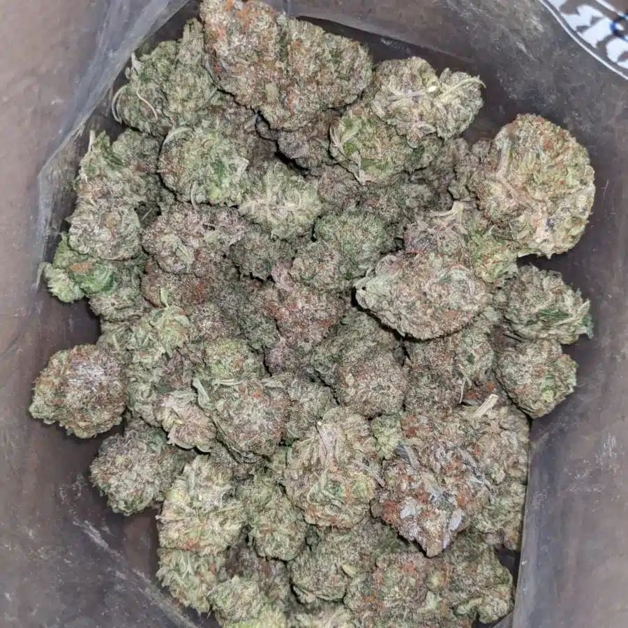 Rockstar AAA 4 1 I Rockstar AAA