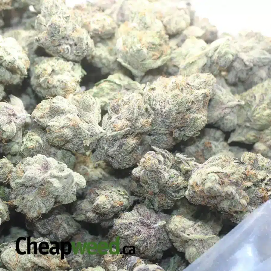 TROPICANA 1 I $ 75 Oz - Tropicana Cookies