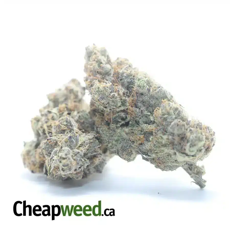 Alternative view of $ 75 Oz - Tropicana Cookies