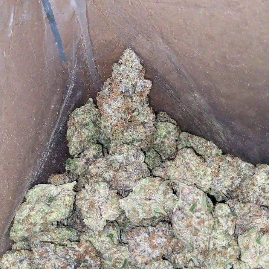 Tropicana Cookies 1 I $ 75 Oz - Tropicana Cookies
