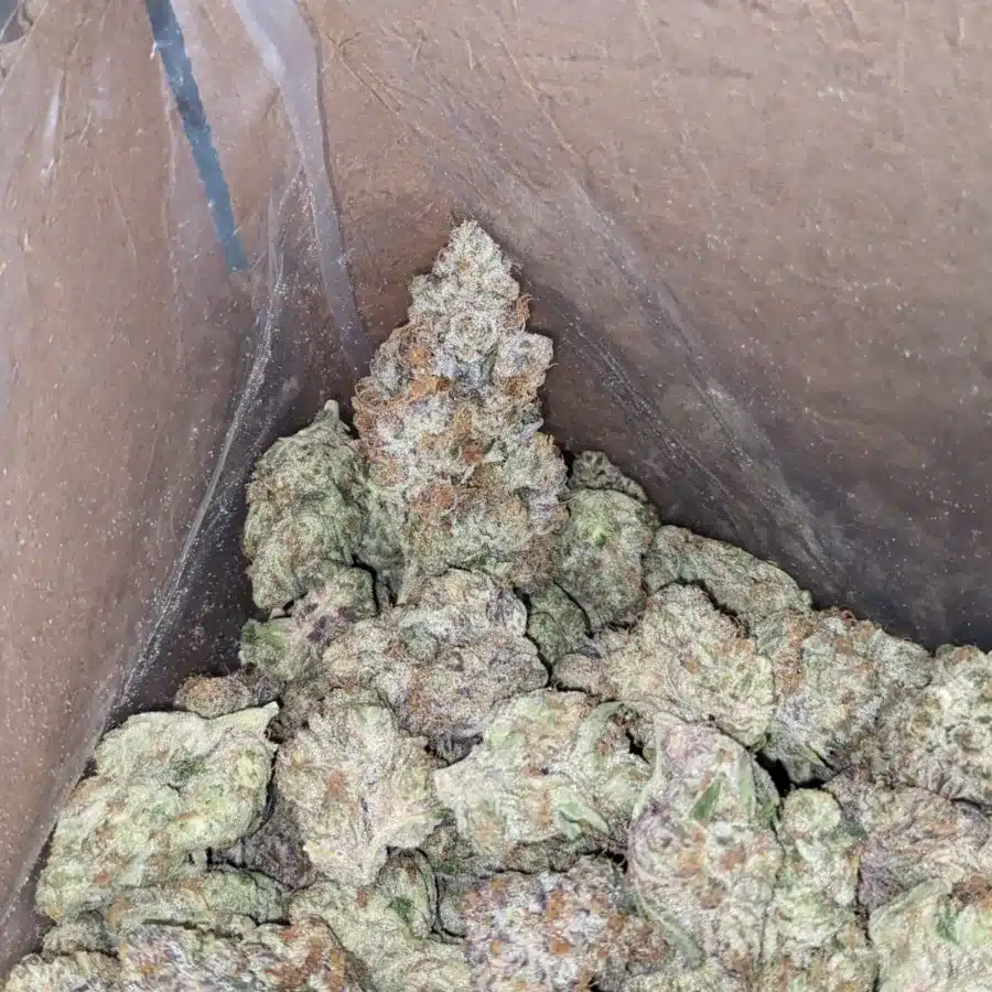 Tropicana Cookies 2 I $ 75 Oz - Tropicana Cookies